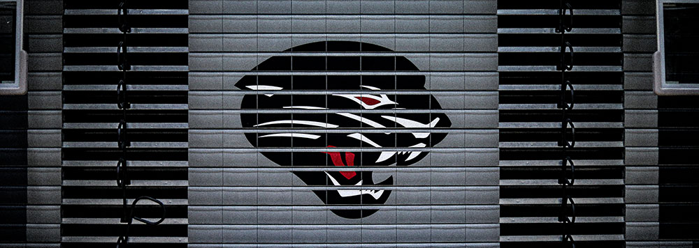 Desert Ridge Basketball